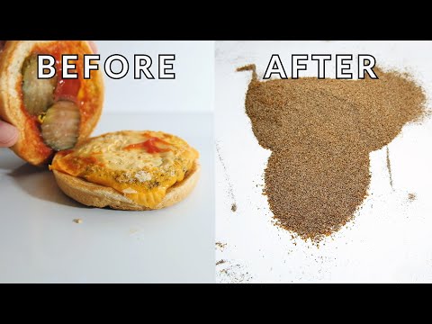 Turning Stuff to Mealworm Poop