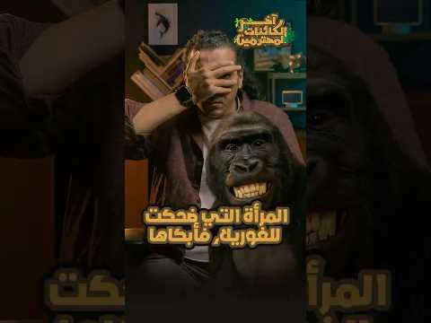 المرأة التي ضحكت للغوريلا، فأبكاها 🦍