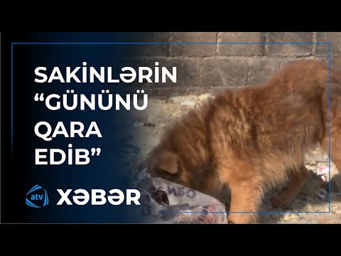 Masazırda ucu-bucağı görünməyən tullantı