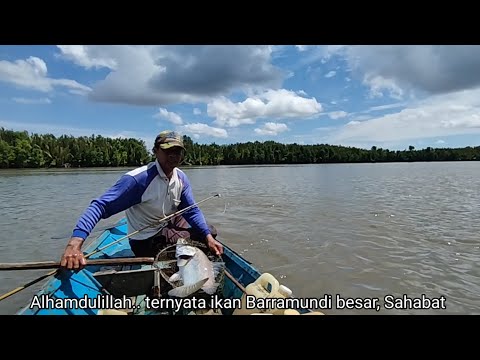 Sambaran mengejutkan ikan Barramundi besar dipinggiran Nipah, hasil langsung dijual