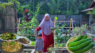 Panen timun jepang, masak salad sunda komplit | Hidup di Desa