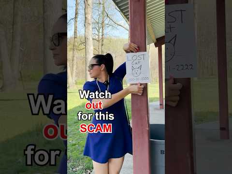 Watch out for this lost animal scam