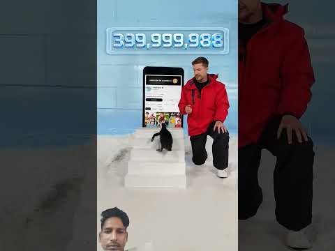 mrbeast subscribe #shorts