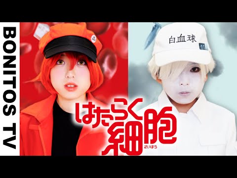 【はたらく細胞】コスプレやってみた！ 白血球 赤血球   Cosplay Cells at Work! アニメ 映画 コミック ♥ -Bonitos TV- ♥
