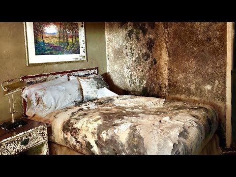 “Abandoned Black Mold-Infested Hotel: What Happened to the Owners?”