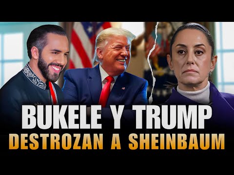 EN SU CARA! BUKELE Y TRUMP DESTROZAN A SHEIBAUM POR DEFENDER CRIMINALES