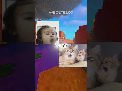 ¡VAS A SENTIR SUEÑO VIENDO ESTE VIDEO! #shorts