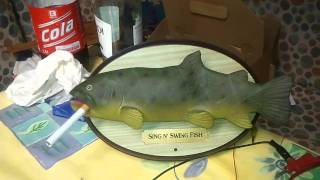 Singender Fisch mit Kippe