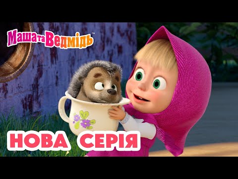 Маша та Ведмідь 💥 Нова серія 💥 Ти ж моя лапочко 🍼🦔 Збірник серій