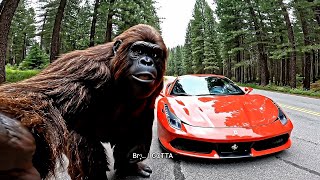 BIGFOOT STOLE AND CRASHED A FERRARI!