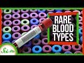Understanding Blood Types