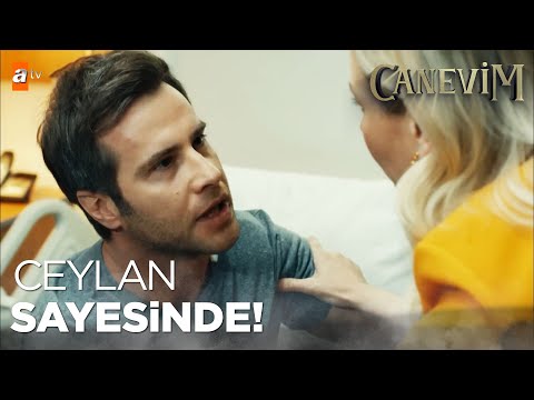 Beni Hayata Ceylan Döndürdü - Canevim