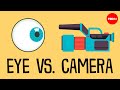 Understanding Vision: Eyes vs. Cameras