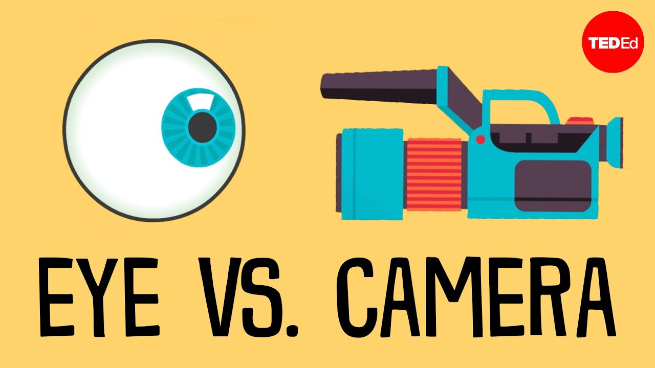 Eye vs. camera - Michael Mauser