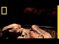Lindow Man and Druid Sacrifice