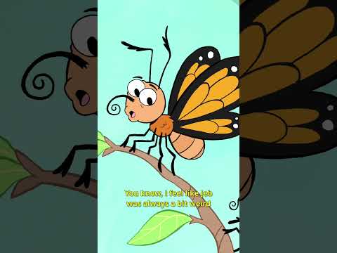 Butterdrive🐛🚗 #animation #funny #comedy #animals #cartoon