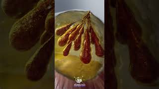 Inside the Breast: How Alveoli Cells Make Milk #educationalcontent