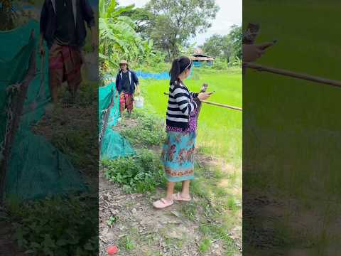 เห็นเป็นต้องวิ่ง🤣🤣🤣 #funny #comedy #คลายเครียด #คนไทยเป็นคนตลก55555 #shorts