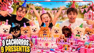 3 TROLLAGENS + 6 PRESENTES = 9 CACHORRINHOS! *Aniversário da nossa sobrinha