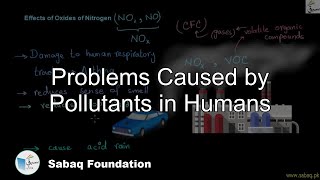 Problems Caused by Pollutants in Humans