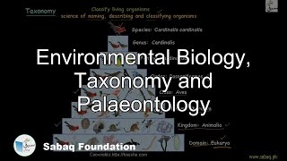 Environmental Biology, Taxonomy and Palaeontology