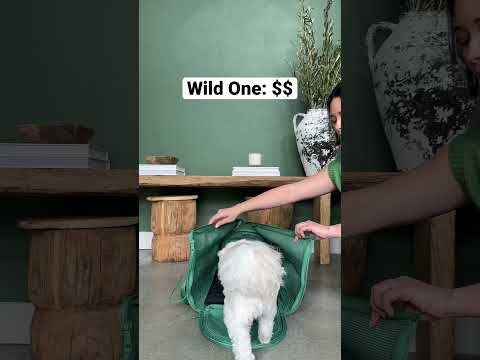 which one is worth it for you? @amazon Wild One, Diggs