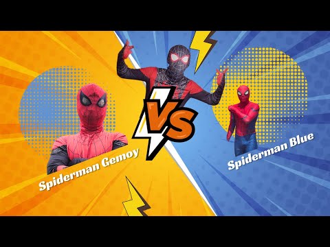 🔴 LOMBA BALAP KARUNG BERSAMA SPIDERMAN BLACKY, SPIDERMAN GEMOY | SPIDER DAILY