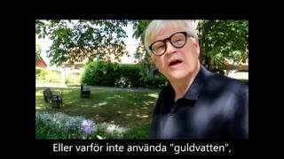 Kissa i duschen eller inte, det är frågan ...