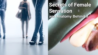 Secrets of Female Sensation and Anatomy Behind it-Educational Content