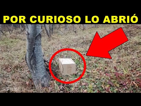 Hombre Pobre Encontró Una Misteriosa Caja Abandonada. Y Por Curiosidad Lo Abrió...