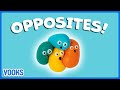 Understanding Opposites, Animals, and Shapes