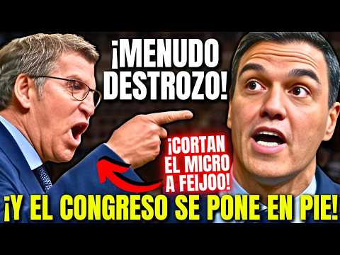 FEIJÓO pone EN PIE al Congreso 🔥¡¡CON ESTE BRUTAL DESTROZO A SÁNCHEZ EN 17 MINUTOS DEMOLEDORES!!🔥