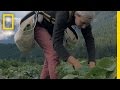 Farming and Its Cultural Significance