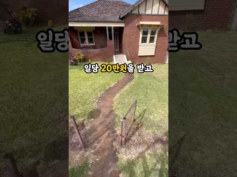 시골 일당 20만원에 충격적인 일을 겪었습니다