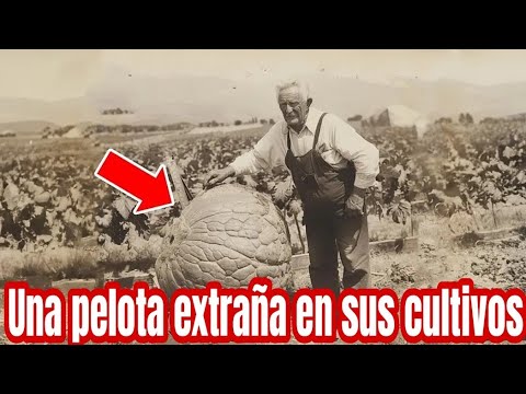 Encontró Una Pelota Extraña En Sus Cultivos! #historiasqueinspiran #videoviral #stories