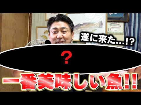 【1年以上待ちました】刺身も塩焼きも最高に美味しい2024年ナンバーワンのお魚がこちら！