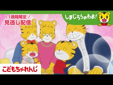 【見逃し配信】テレビ番組「しまじろうのわお！」#660 ｜おかあさん　あまえんぼ？【しまじろうチャンネル公式】