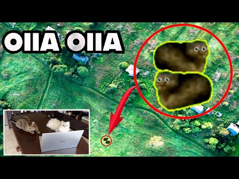 МОЙ ДРОН СНЯЛ НАСТОЯЩУЮ ОIIА ОIIА в Реальной Жизни