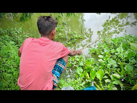 Hook Fishing 🎣🐟 Traditional Hook Fishing ~ Village Daily Life ( part-309 )