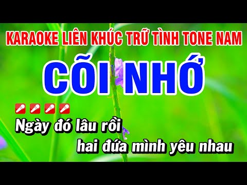 Karaoke Liên Khúc Trữ Tình Tone Nam Nhạc Sống Dễ Hát – Cõi Nhớ | Hoài Phong Organ