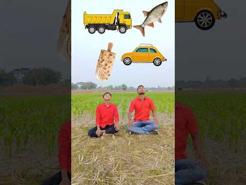 Toy car catching vs fish, icecream, Shikhor & insect Eating two cute brother funny vfx ?