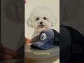 Preview Thumbnail