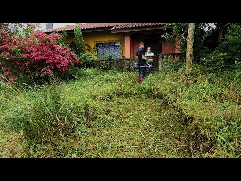 Ela me agradeceu por fazer o JARDIM dela de GRAÇA
