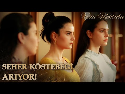 Seher Evdeki Köstebeği Arıyor! - Veda Mektubu Özel Klip