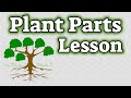 Understanding Plant Parts