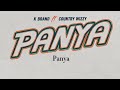 K-Brand Feat CountryWizzy - Panya (Official Lyrics Video)