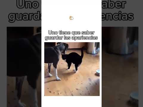 hay que saber guardar las apariencias.