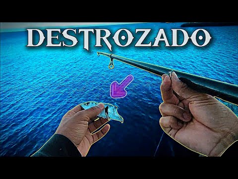 Un GRAN Pez DESTROZÓ Nuestra CARNADA 😳 (Pesca En Tenerife) 🎣🎣 / YoSoyHader