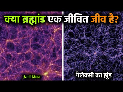 क्या ब्रह्मांड एक जीवित जीव है? Is the universe a living organism?