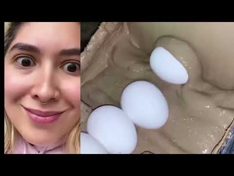 Ls mejores videos de lily garcia 🍓 | Especial 20,000 suscriptores